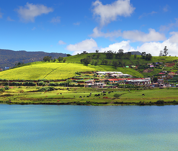 Sri lanka holiday tour packages