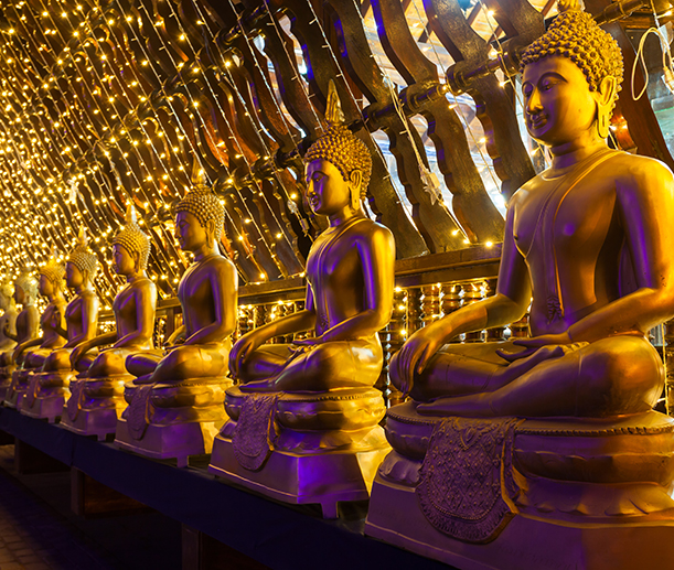 sri lanka honeymoon tour packages
