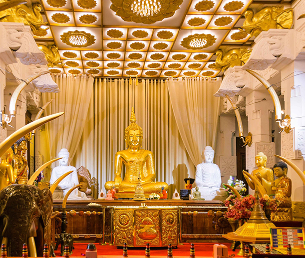 Sri lanka Holiday tour packages